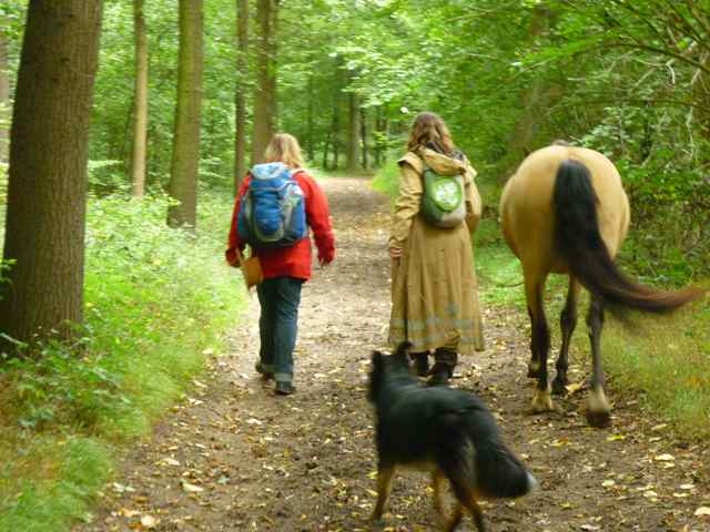 Wandern mit Farina